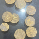 तनुश्री दत्ता का आरोप: “मुझे भी सुशांत सिंह राजपूत की तरह पागल करने की कोशिश की गई”