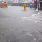 बालों के झड़ने से परेशान? प्याज़ का रस बना रामबाण इलाज!