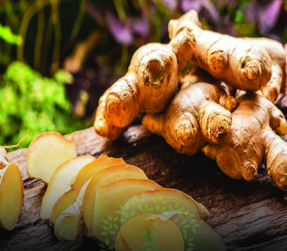 मस्सों से पाना चाहते हैं छुटकारा? अदरक है आयुर्वेदिक इलाज