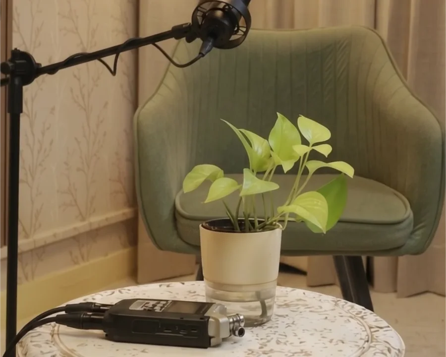 Olive armchair, boom microphone, plant and field recorder on a carved table at the Bintin Media podcast studio